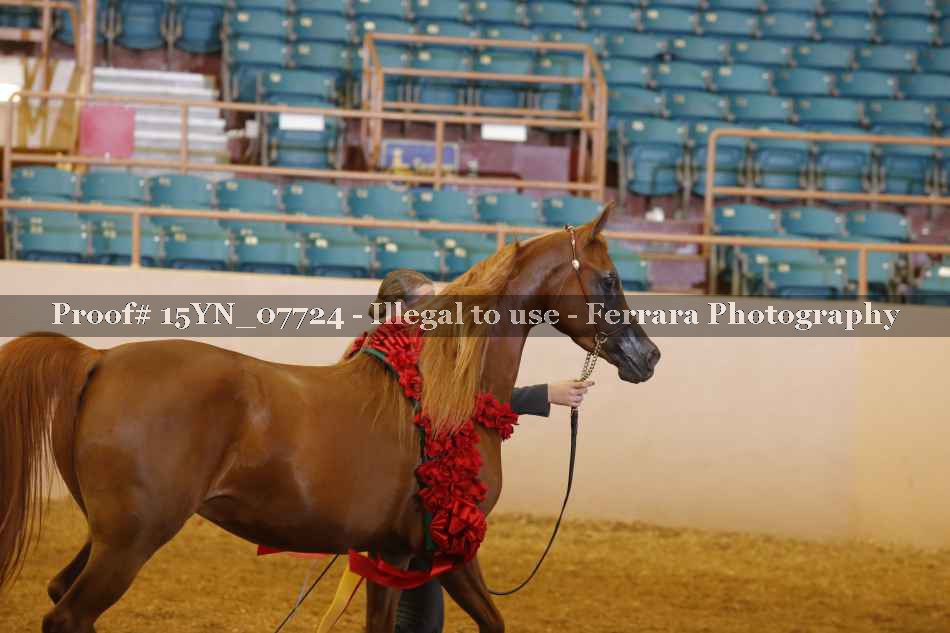 Proof 15YN_07724