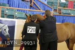 15YN_29931 proof