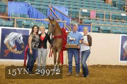 15YN_29972 proof