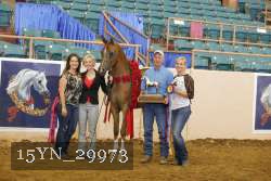 15YN_29973 proof