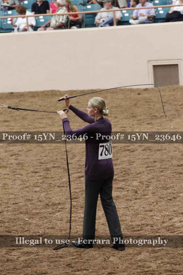 Proof 15YN_23646