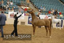 15YN_23660 proof