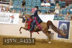 15YN_24334 proof