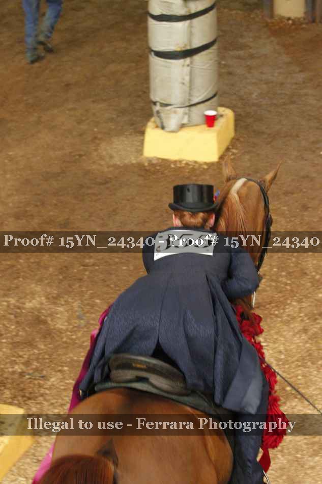 Proof 15YN_24340