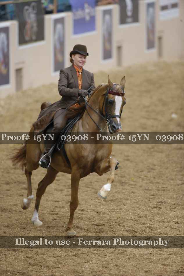 Proof 15YN_03908
