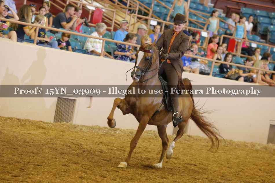 Proof 15YN_03909