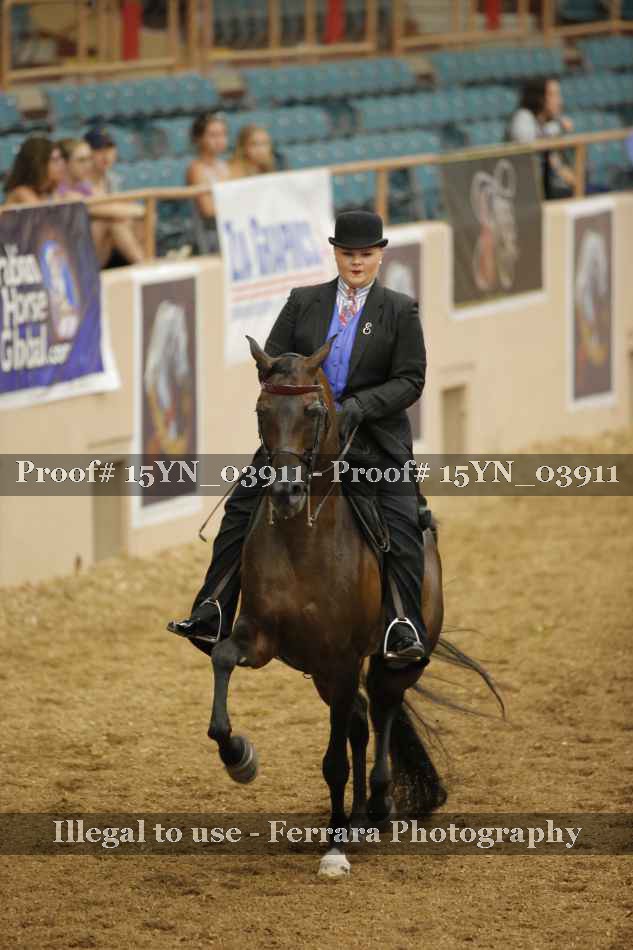 Proof 15YN_03911