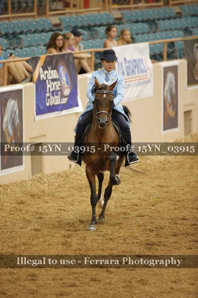 Proof 15YN_03915