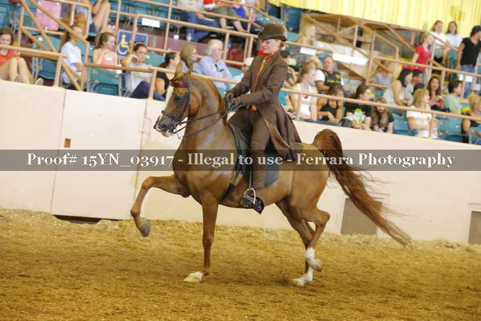 Proof 15YN_03917