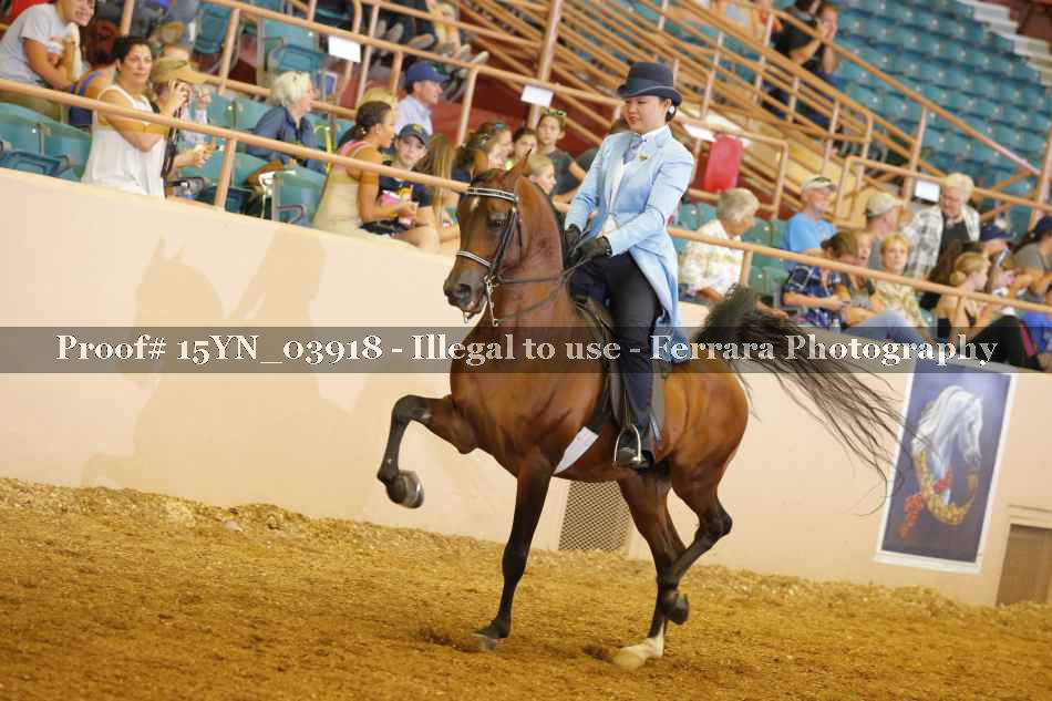 Proof 15YN_03918