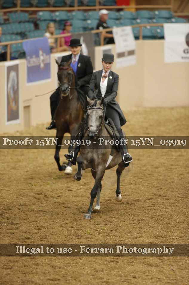 Proof 15YN_03919