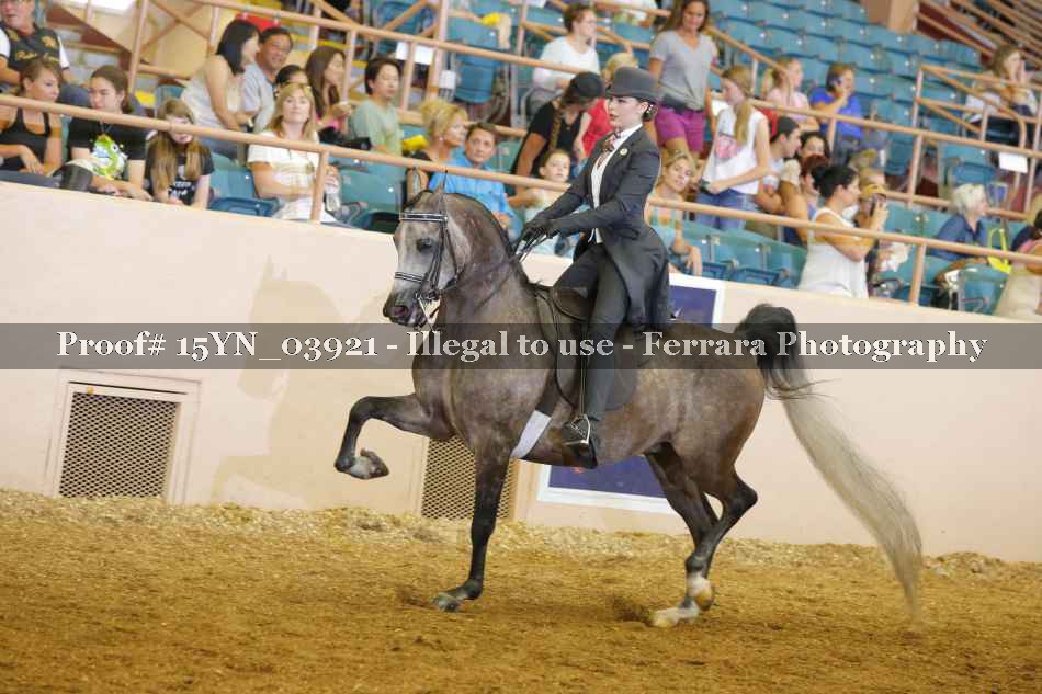 Proof 15YN_03921