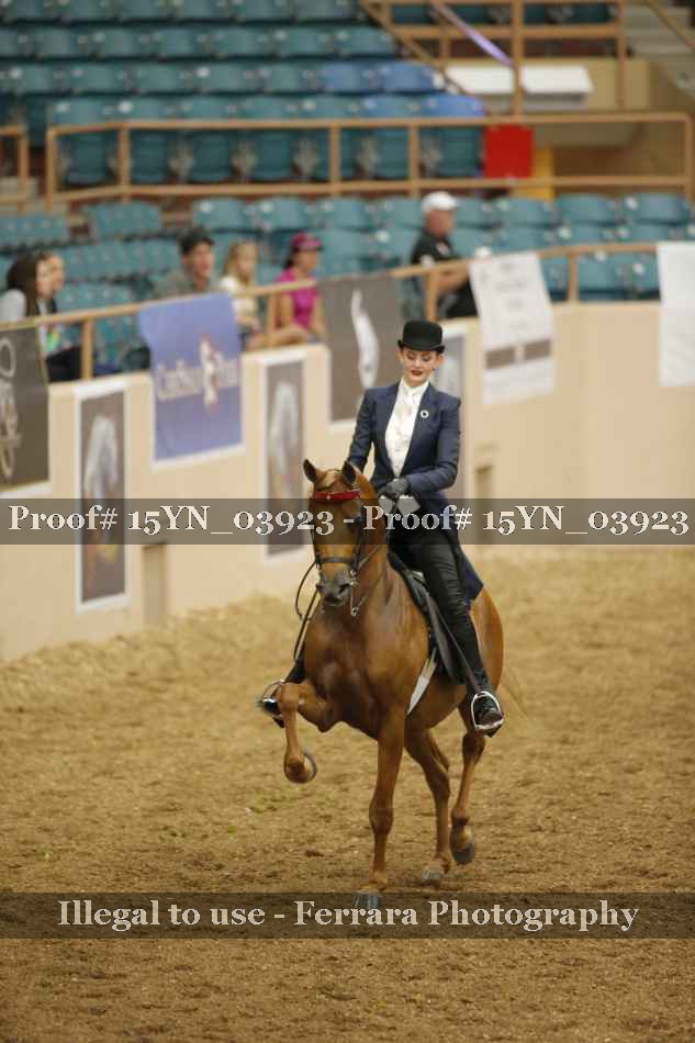 Proof 15YN_03923