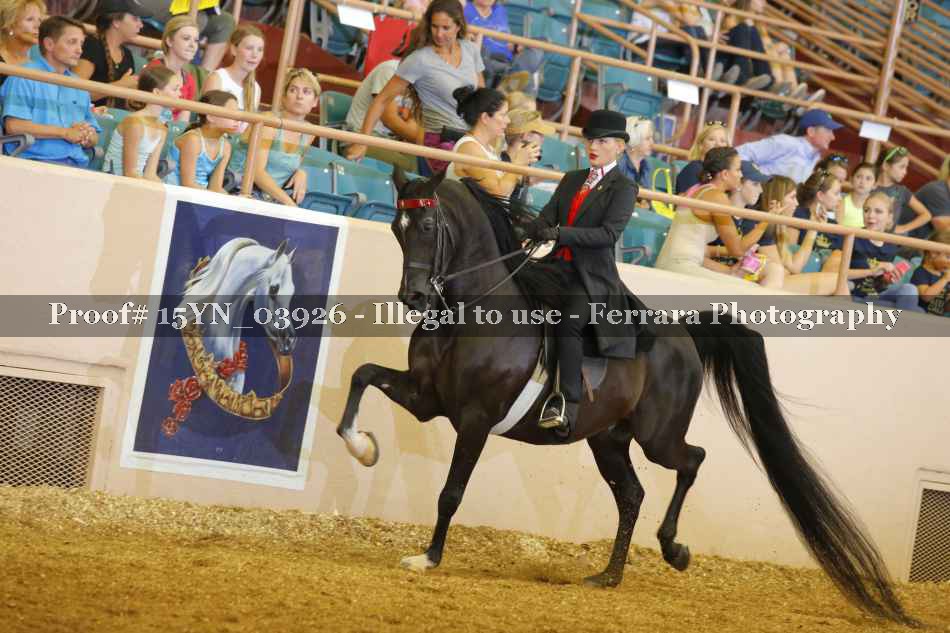 Proof 15YN_03926