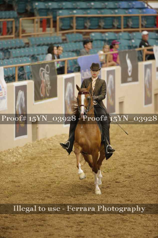 Proof 15YN_03928