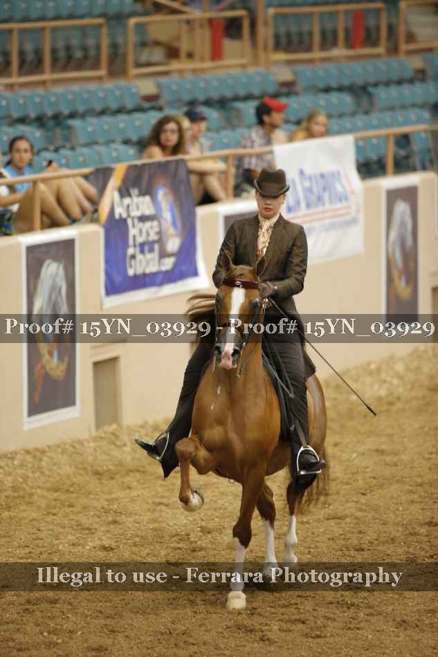 Proof 15YN_03929
