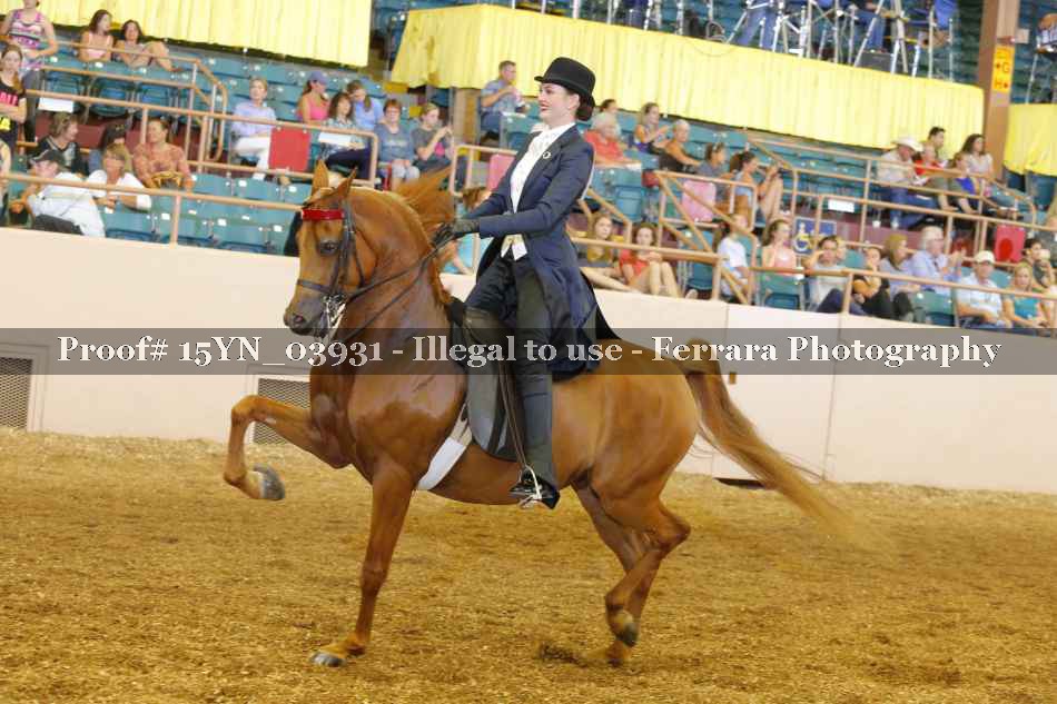 Proof 15YN_03931