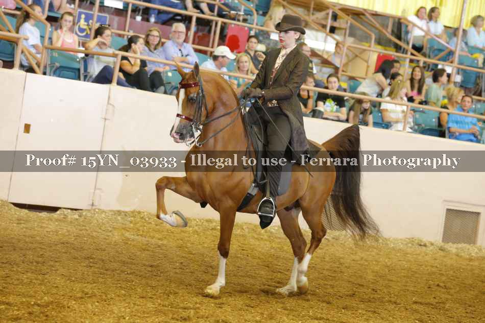 Proof 15YN_03933