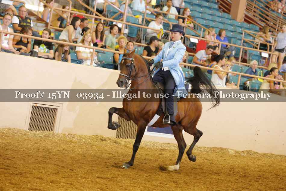 Proof 15YN_03934