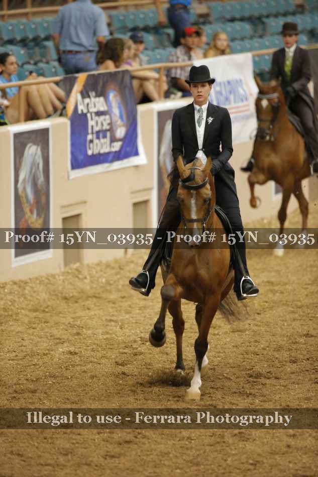 Proof 15YN_03935