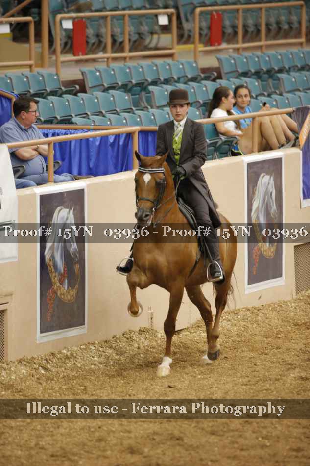 Proof 15YN_03936