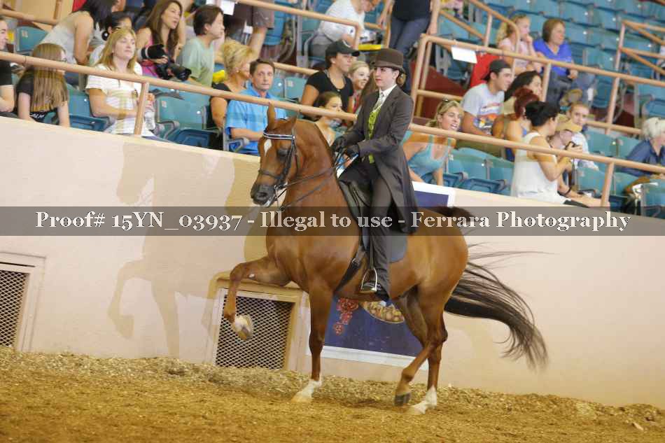 Proof 15YN_03937