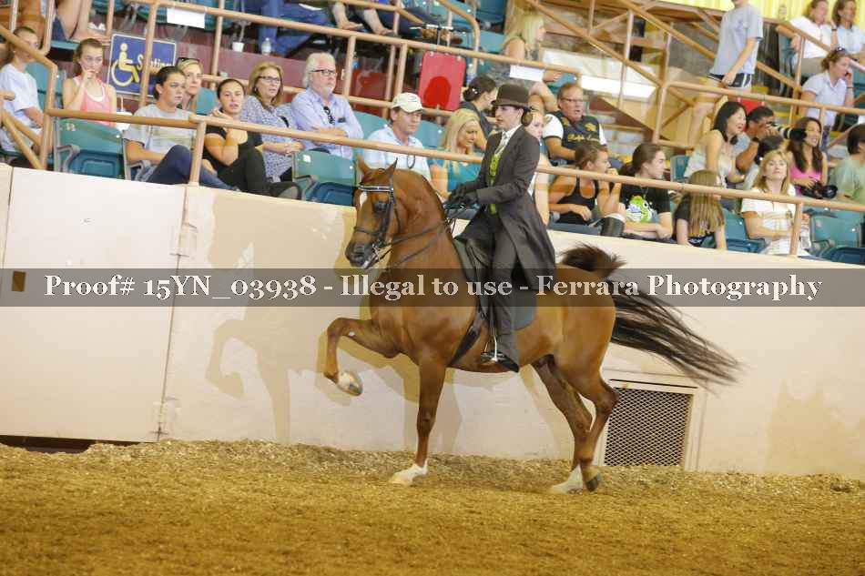 Proof 15YN_03938