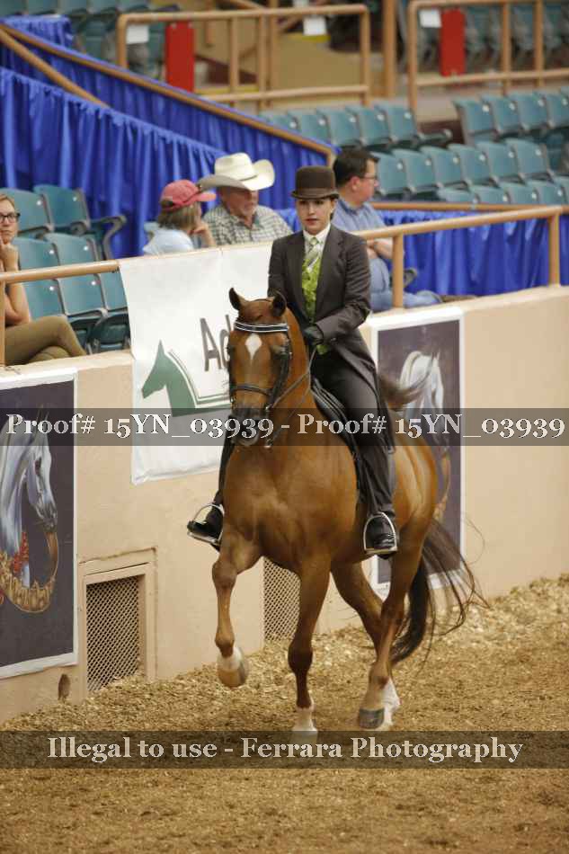 Proof 15YN_03939