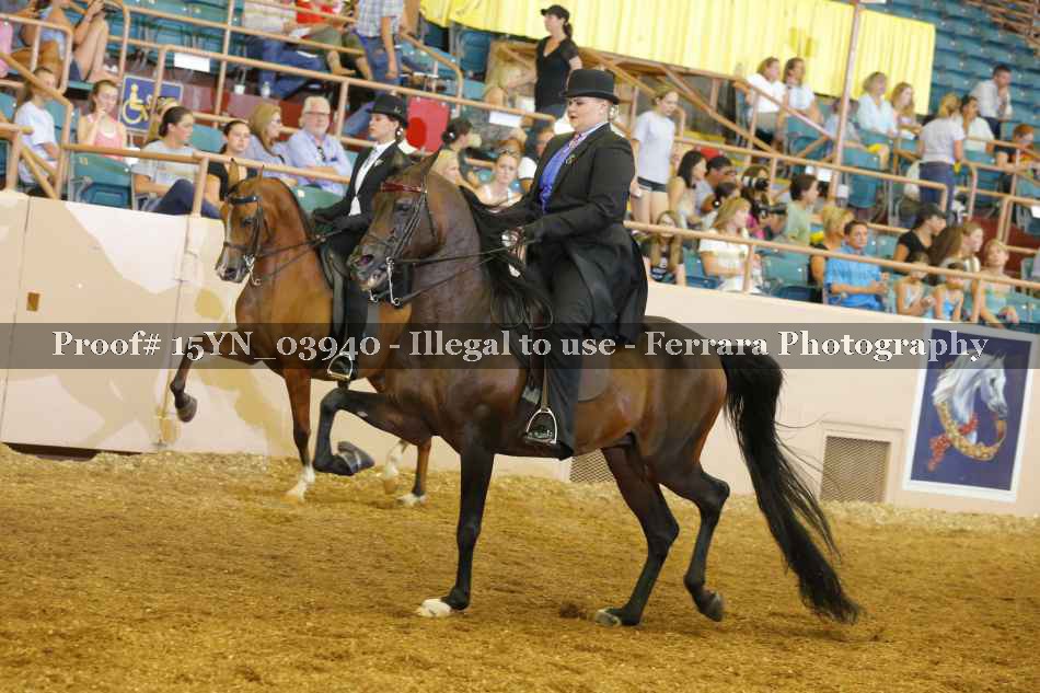 Proof 15YN_03940