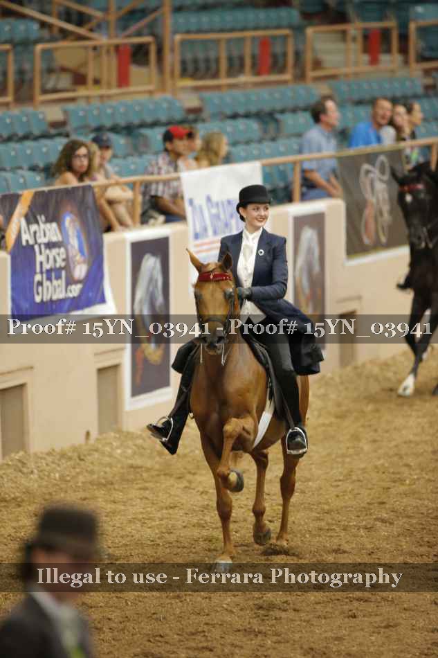 Proof 15YN_03941
