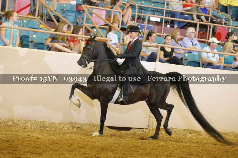 Proof 15YN_03943