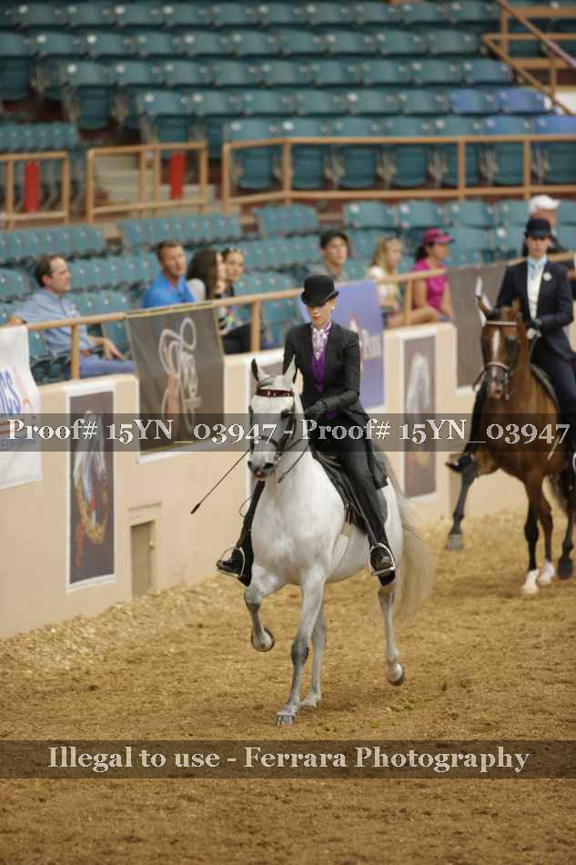 Proof 15YN_03947