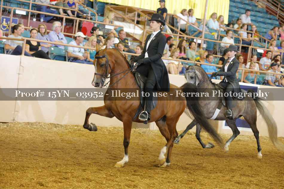Proof 15YN_03952