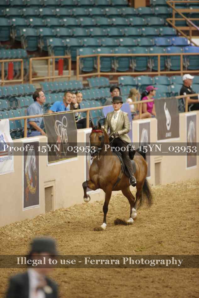 Proof 15YN_03953