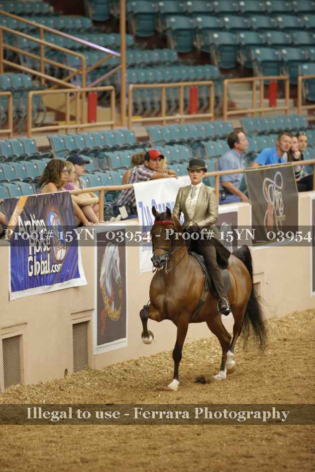 Proof 15YN_03954