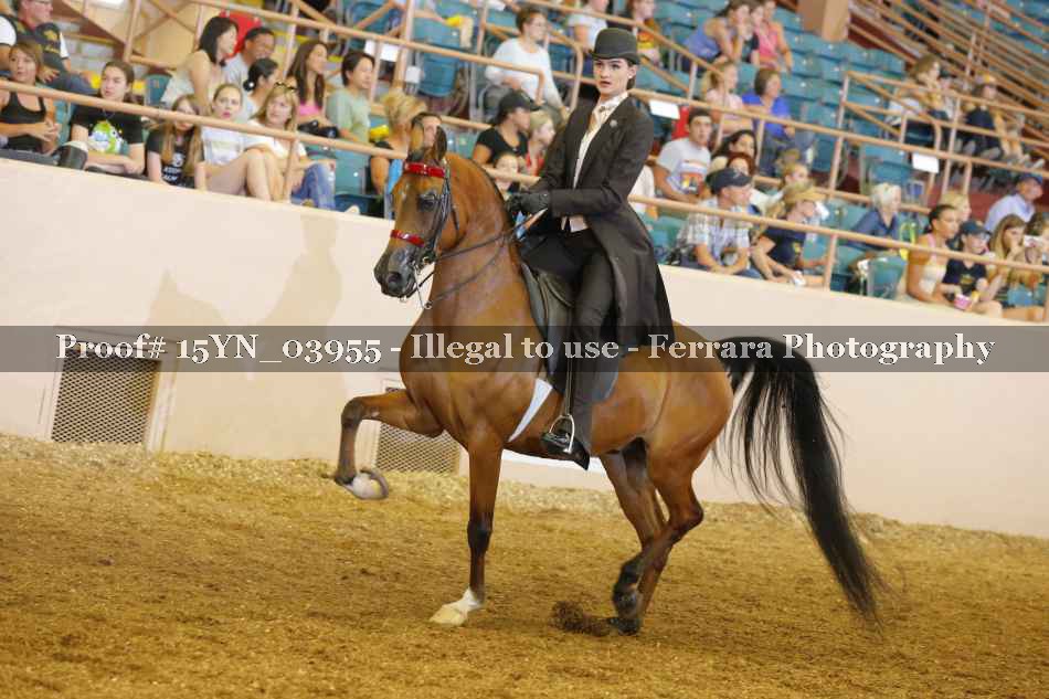 Proof 15YN_03955