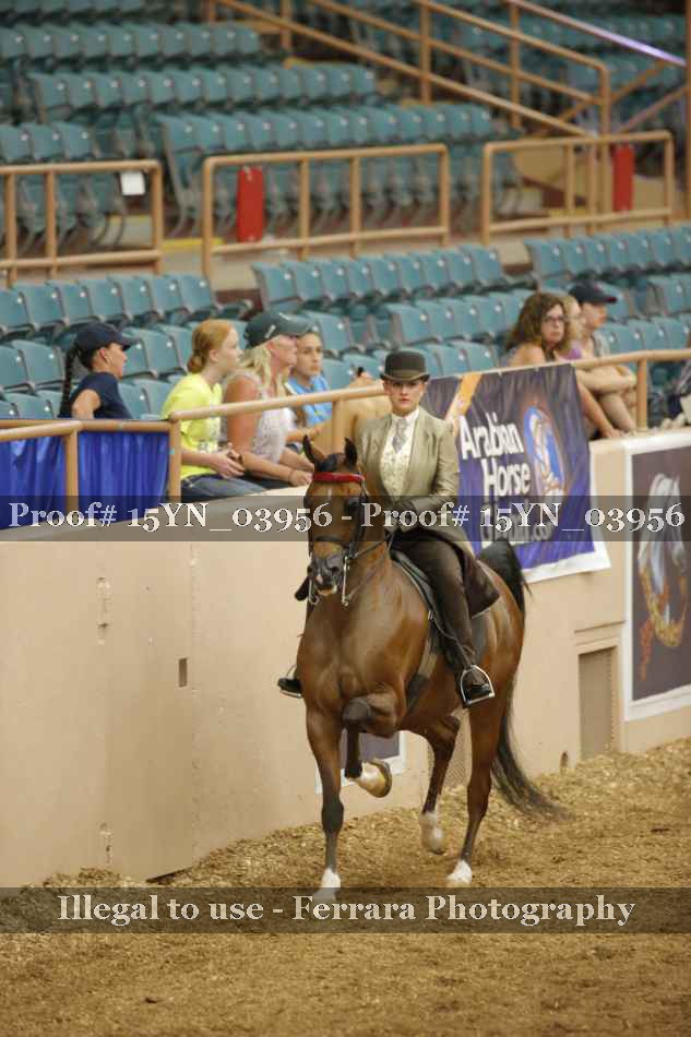 Proof 15YN_03956