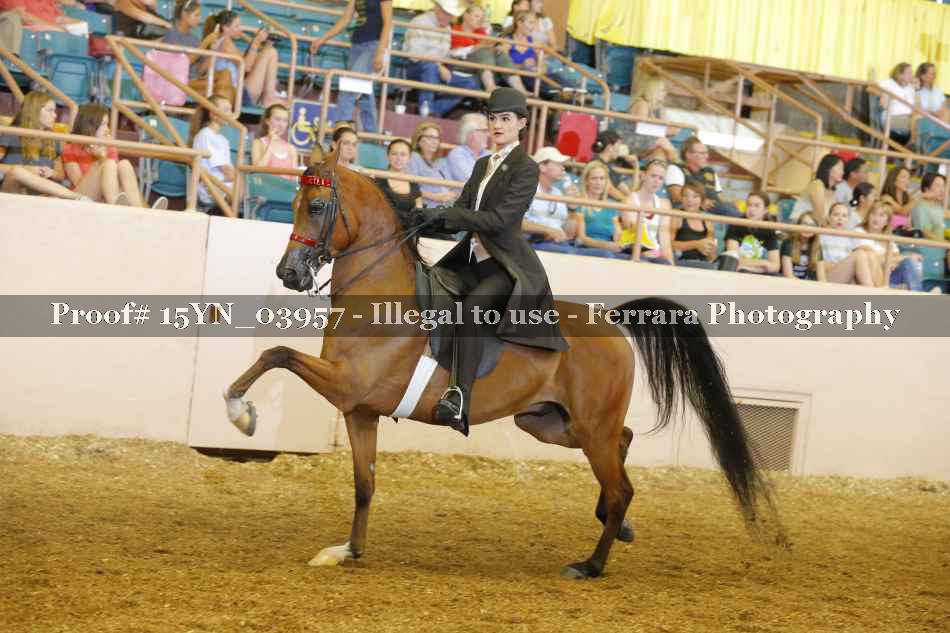 Proof 15YN_03957