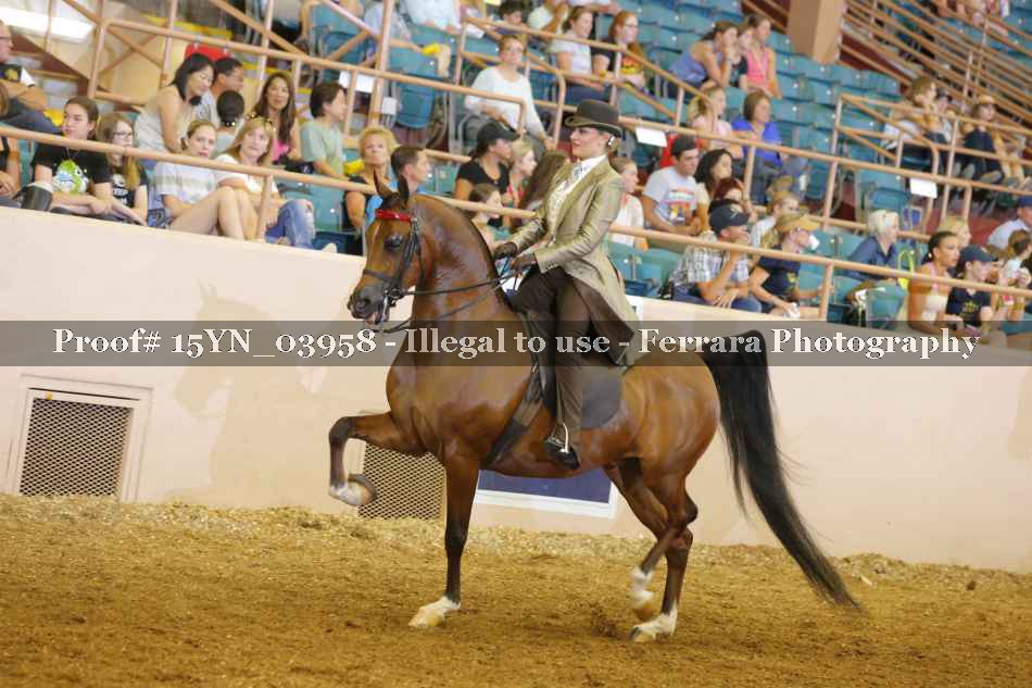 Proof 15YN_03958