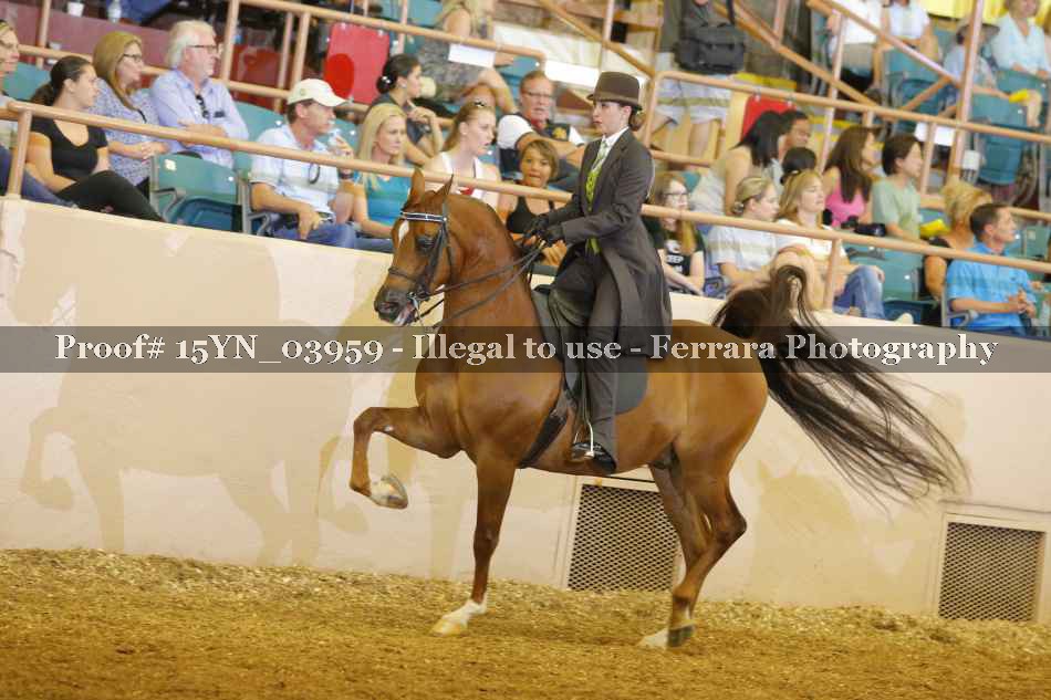Proof 15YN_03959