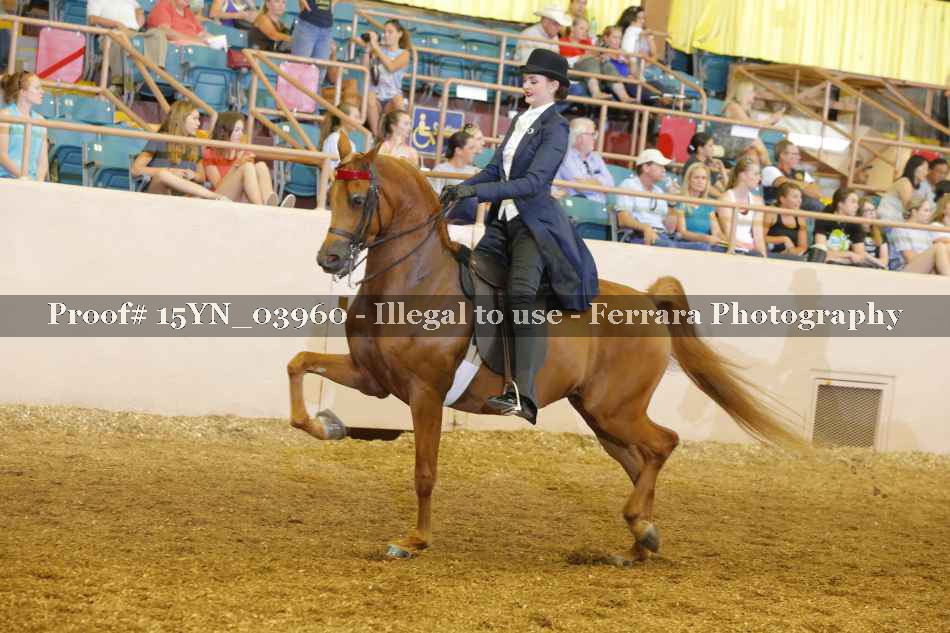 Proof 15YN_03960