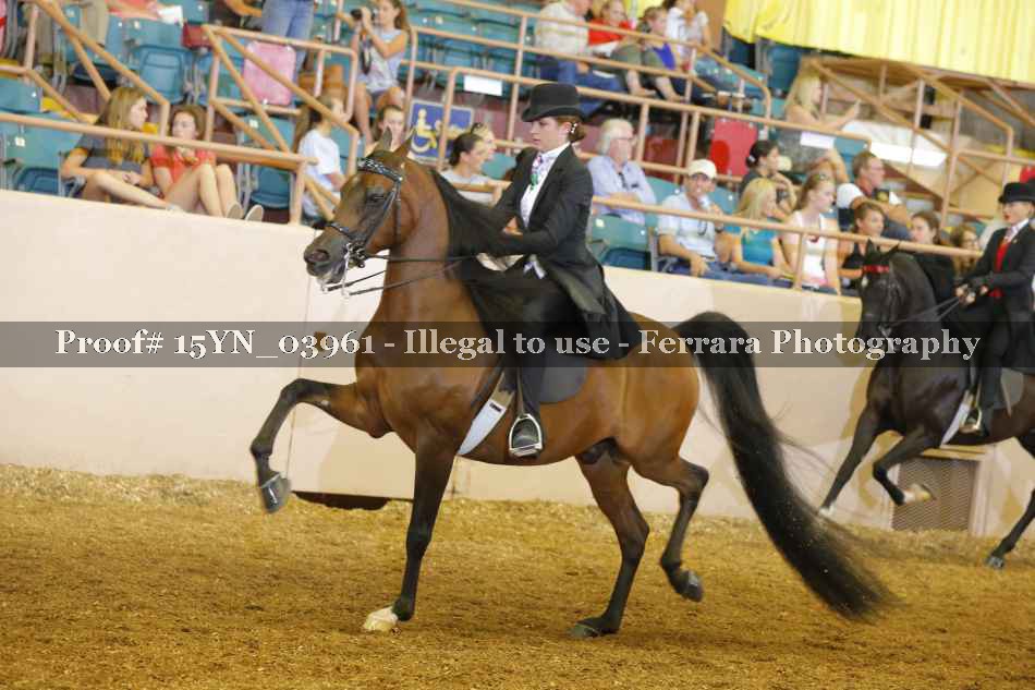 Proof 15YN_03961