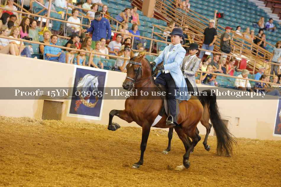 Proof 15YN_03963