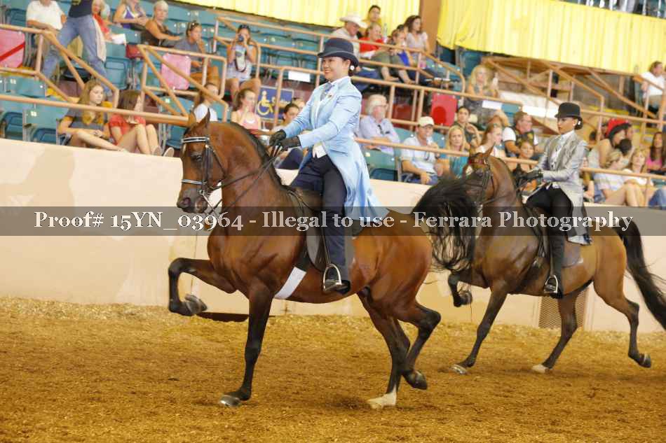 Proof 15YN_03964