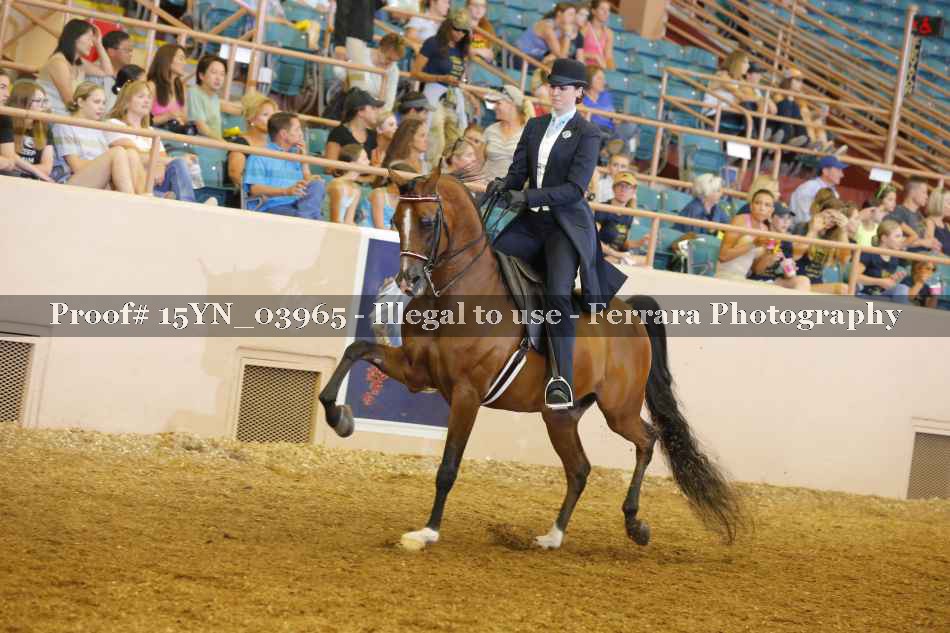 Proof 15YN_03965