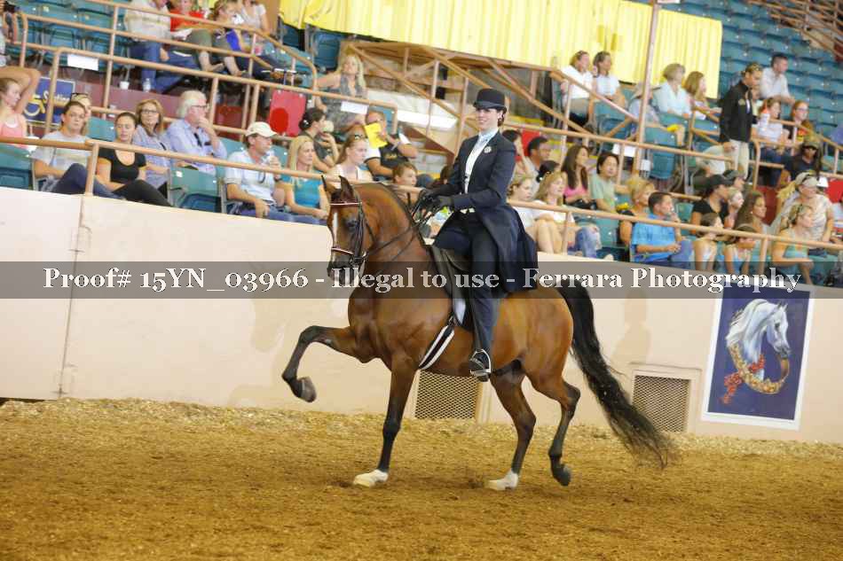 Proof 15YN_03966