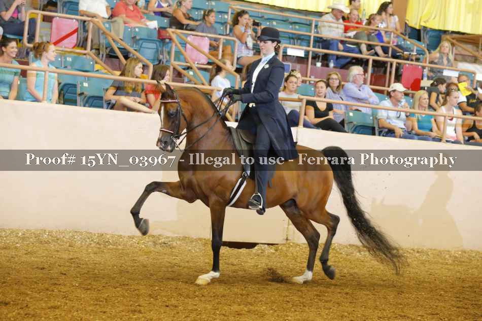 Proof 15YN_03967