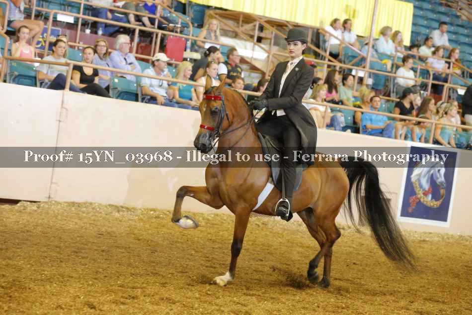 Proof 15YN_03968
