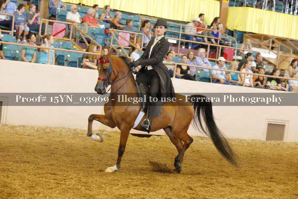 Proof 15YN_03969