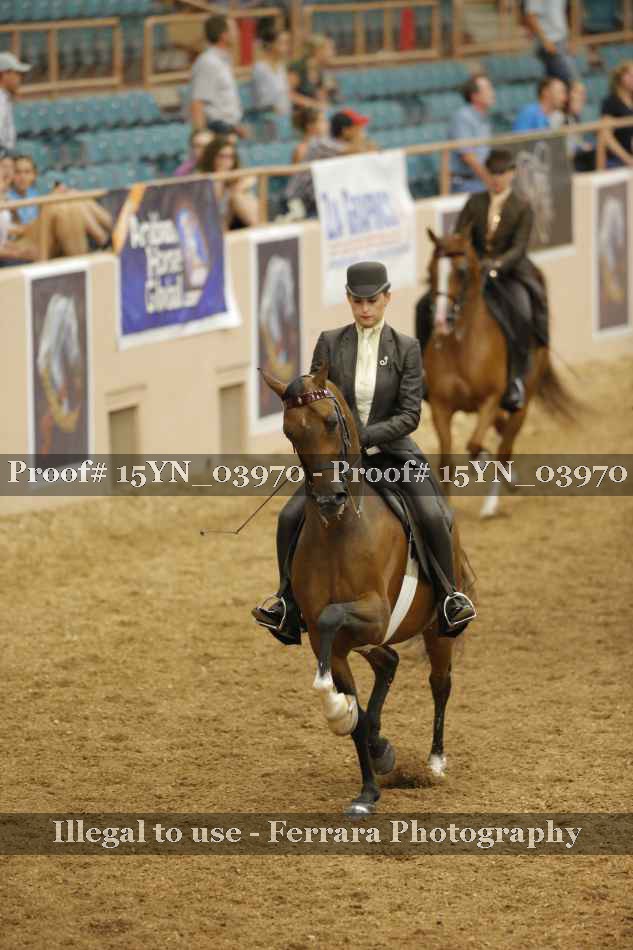 Proof 15YN_03970